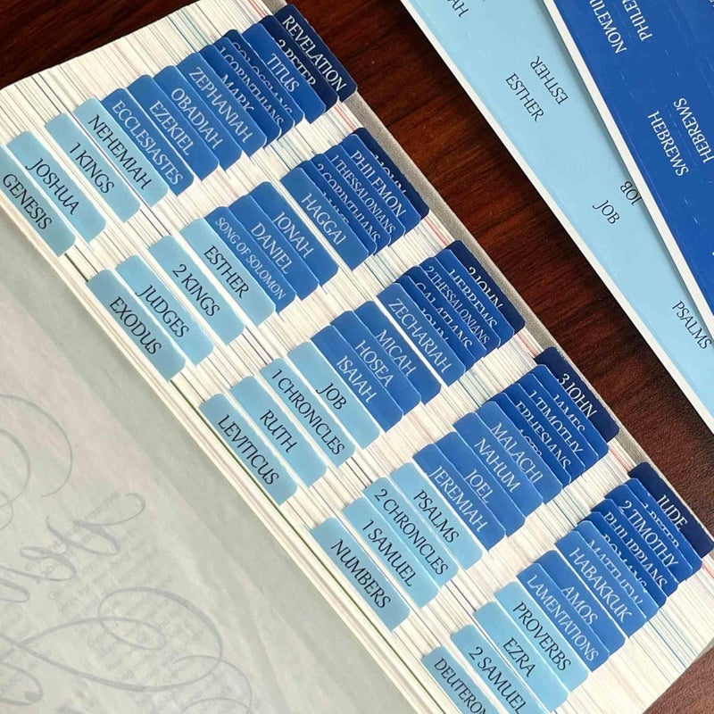 thinkor Reposition Bible Tabs, Large Print Lanimated Stickers, Easy to Read and Apply Bible Tabs for Women and Man (Four Blue) - Image 1